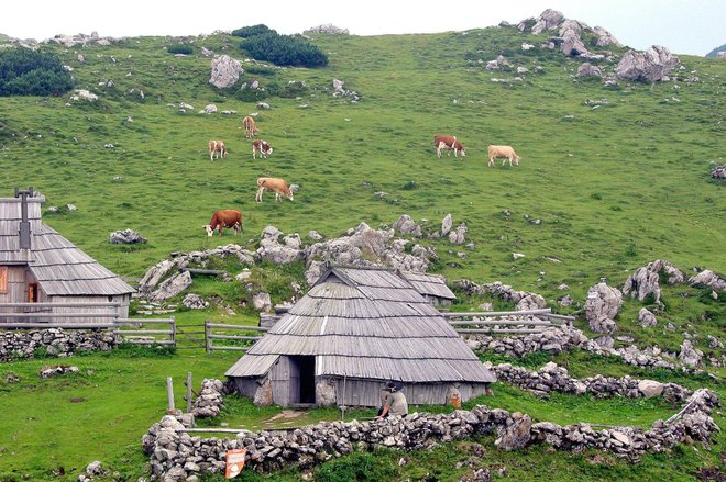 V Preskarjevi bajti so uredili muzej. FOTO: PRIMOŽ HIENG