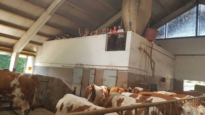 Študenti so bogatejši za čudovito praktično izkušnjo. FOTOGRAFIJE: Miran Lešnik