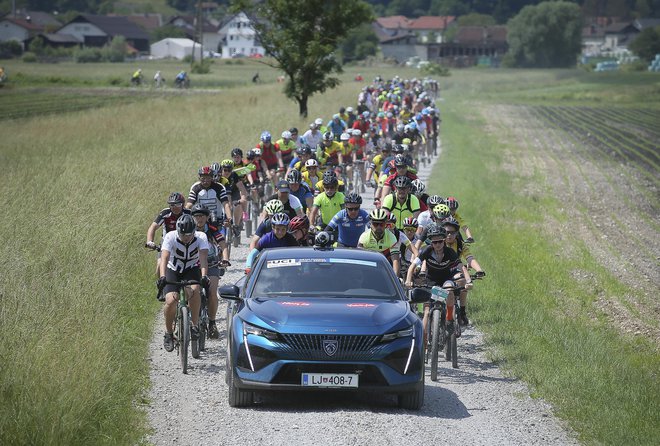 FOTO: Jože Suhadolnik/Delo