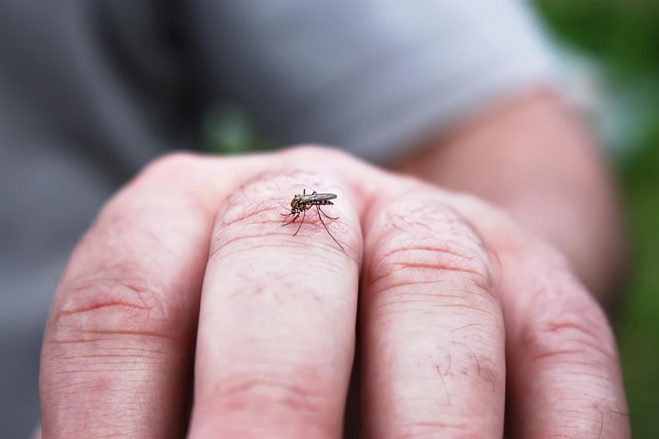 Fotografija: Fotografija je simbolična. FOTO: Sergey Aleshin Getty Images/istockphoto