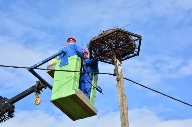 Delavci Elektro Maribor so poskrbeli za štrkov novi dom. FOTO: Gregor Domanjko