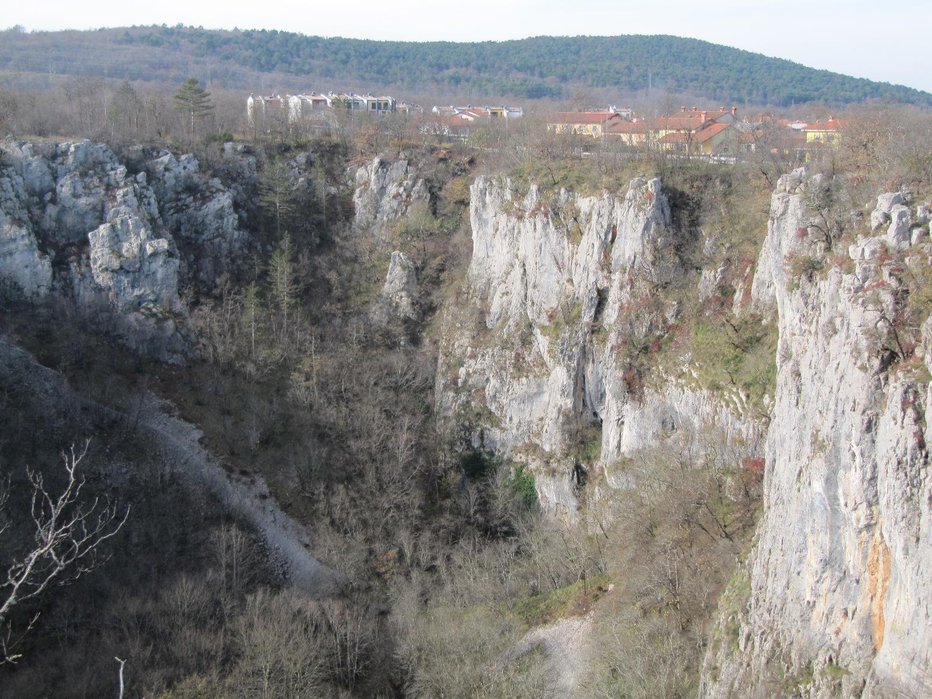 Fotografija: Fotografija je simbolična. Foto: Dragica Jaksetič 