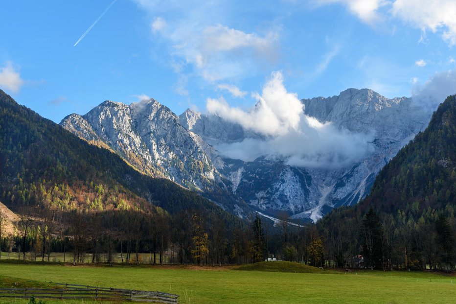 Fotografija: Simbolična fotografija. FOTO: Elena Odareeva, Getty Images/Istockphoto