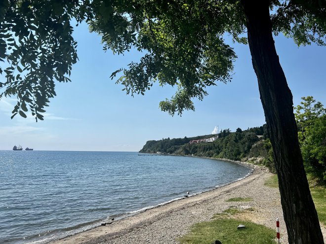 Na kamnitem delu plaže Valdoltra so dobrodošli tudi psi. FOTO: MONI ČERNE