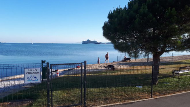 Koprska pasja plaža je na koncu Semedelske promenade. FOTO: MOK