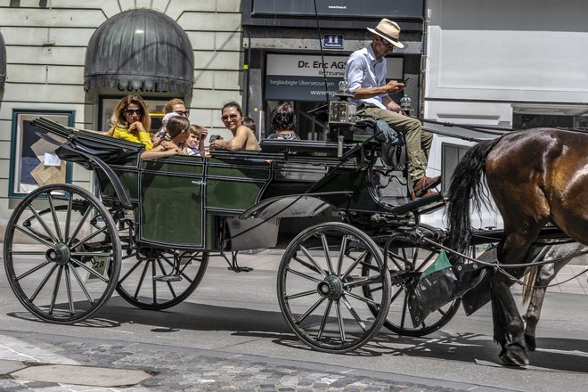 Zanimiva je pot, cilj nekoliko manj. FOTO: M. F.