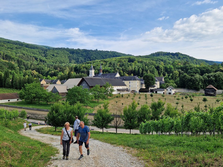 Fotografija: Del poti vodi med vinogradi in sadovnjaki, od koder je čudovit razgled na kartuzijo. FOTOGRAFIJE: TANJA JAKŠE GAZVODA