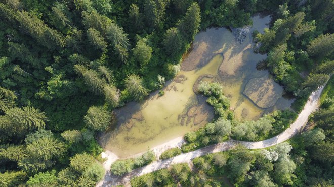 Približno na sredini sega v jezerce manjši polotok, na vzhodni strani pa ga omejuje mogočna skala.