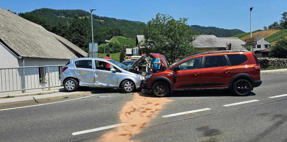 Fotografija: Na pomoč so priskočili tudi gasilci. FOTO: Pgd Steklarna Rogaška Slatina