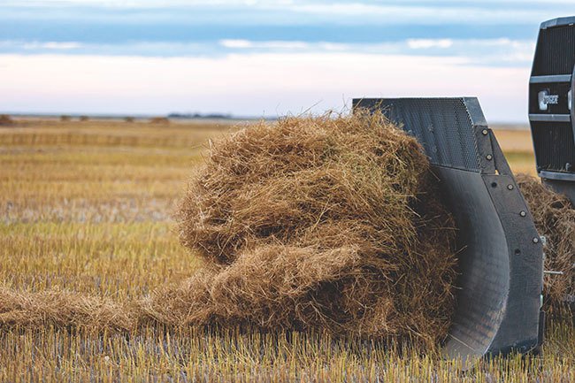 Kmetje bodo morali biti previdni, kako se v sporočilih odzivajo na ponudbe in pogodbe. Na fotografiji žetev lana v Saskatchewanu. FOTO: Canadian Biomass Magazine