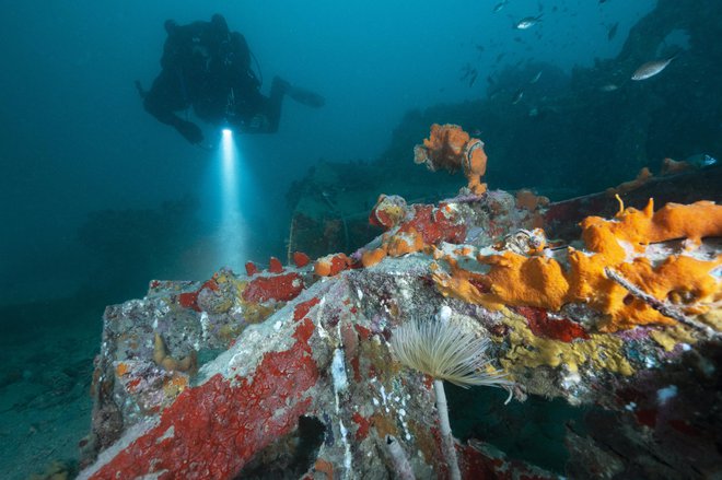 R 15 leži na globini okoli 25 metrov. FOTO: osebni arhiv Danijela Frke