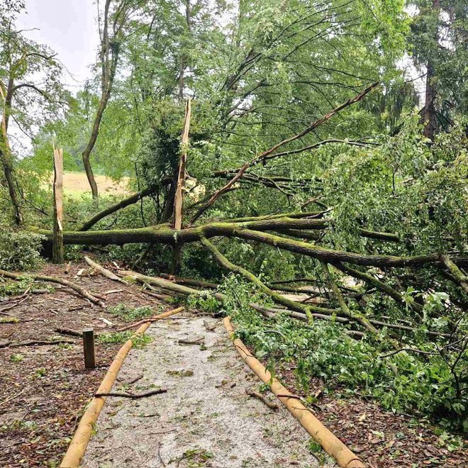 Ne le Vojnik, skupili so tudi drugod na Celjskem. Po neurjih v zadnjih dneh tudi pot okoli Šmartinskega jezera ni varna. FOTO: Mestna Občina Celje