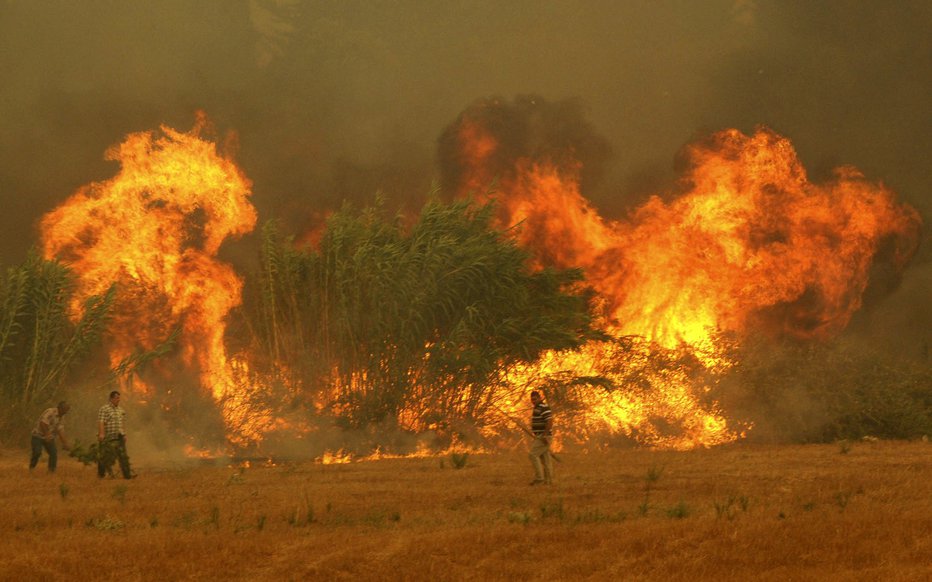 Fotografija: Turčija je tako kot številne druge sredozemske države sredi hudega vročinskega vala. FOTO: Ho Reuters Pictures