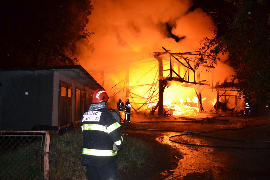 Fotografija: Fotografija je simbolična. FOTO: Tanja Jakše Gazvoda