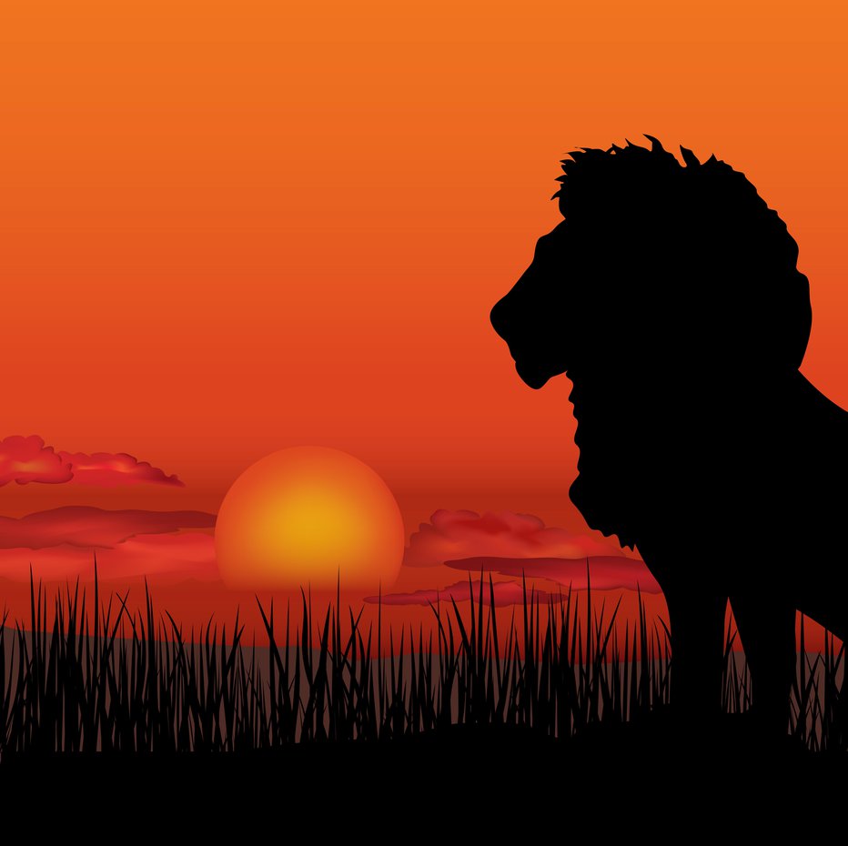 Fotografija: African landscape with wild animal silhouette. Savanna sunset background.