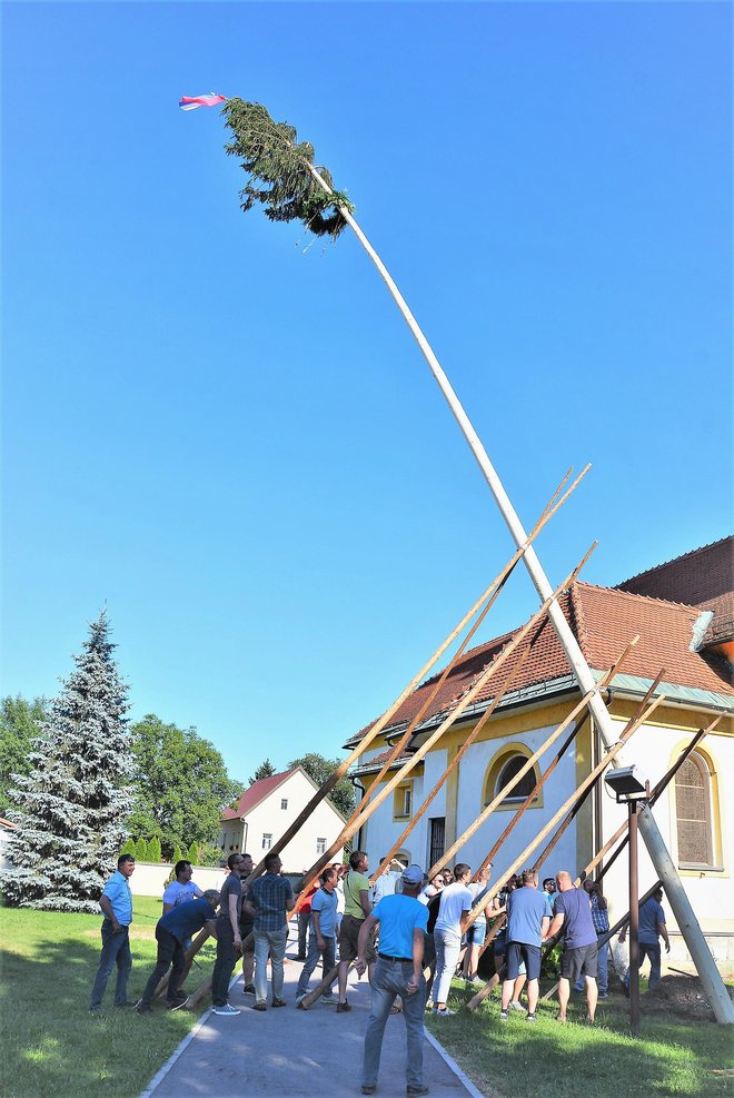 Še malo in mlaj bo stal v tri metre globoki luknji, sledita še učvrstitev z velikimi lesenimi zagozdami in zasutje z zemljo. FOTO: Darko Naraglav