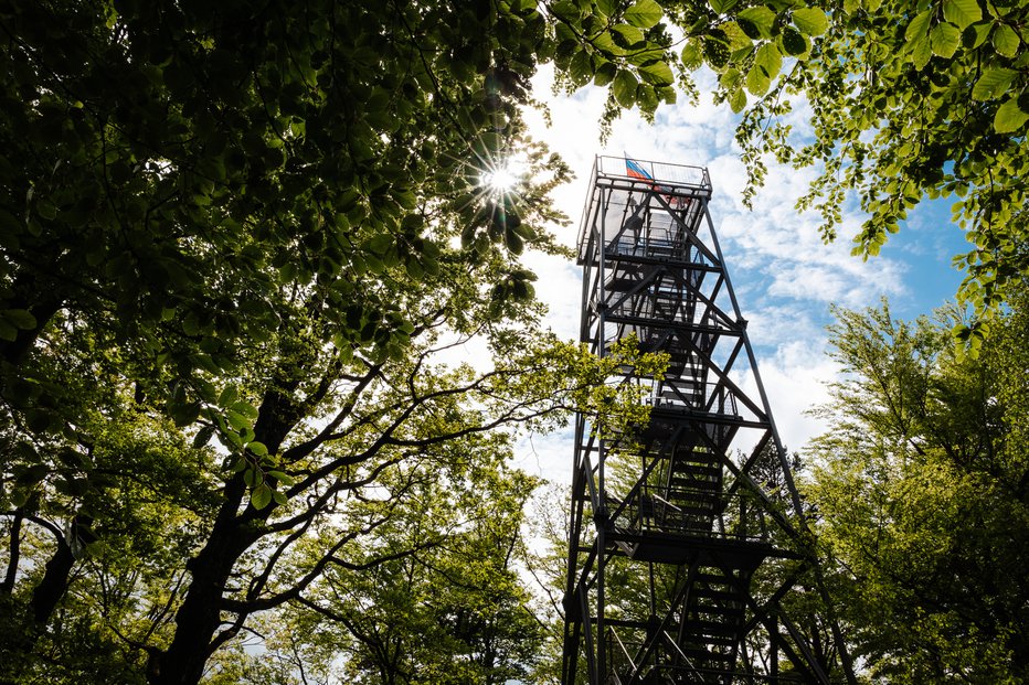 Fotografija: Na Resevno hodijo iz vse Slovenije in tudi iz tujine. FOTO: Matic Javornik