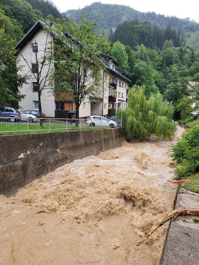 V Tržiču je poplavil potok Mošenik. FOTO: Tina Horvat