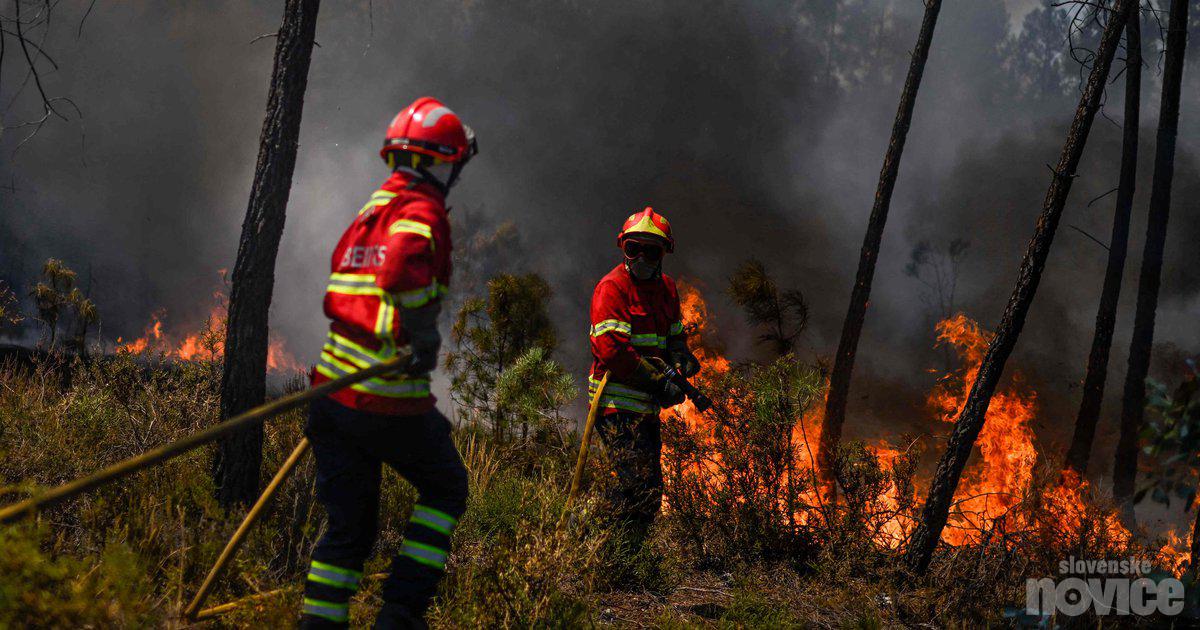 Os incêndios florestais não poupam: centenas de pessoas foram evacuadas