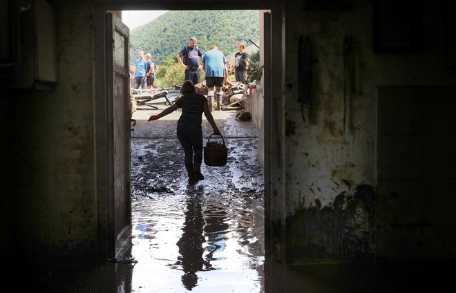 Se bodo jeseni ponovili strahotni prizori? FOTO: Blaž Samec