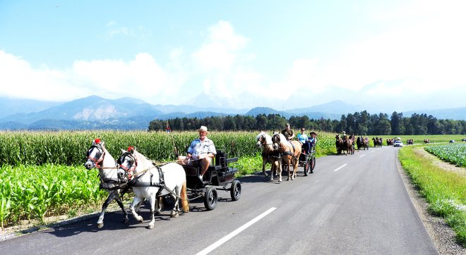 Vprege na poti iz Velesovega proti vasi Lahovče