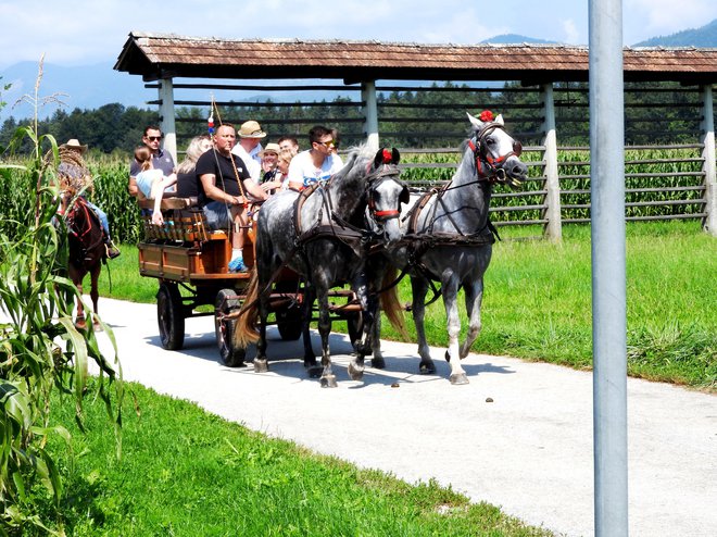 Bilo je lepo in sončno vreme.