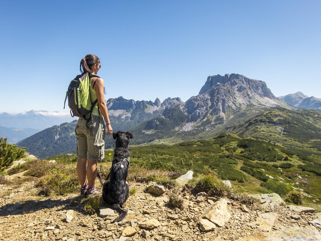 Pot prilagodite sposobnostim vašega psa. FOTO: Tommasolizzul, Getty Images