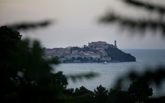 Ogenj je požiral gozdove na vzhodu otoka Elba. FOTO: Blaž Samec