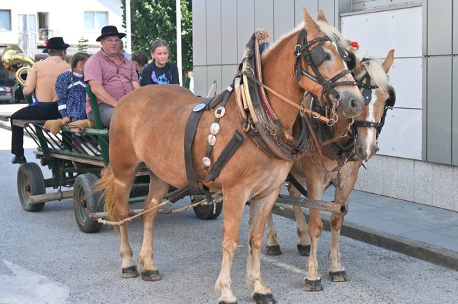 Nekoč so pridelek vozili na Celjsko, v Prekmurje in na Koroško, na Hrvaško in Madžarsko ter celo v Gradec.