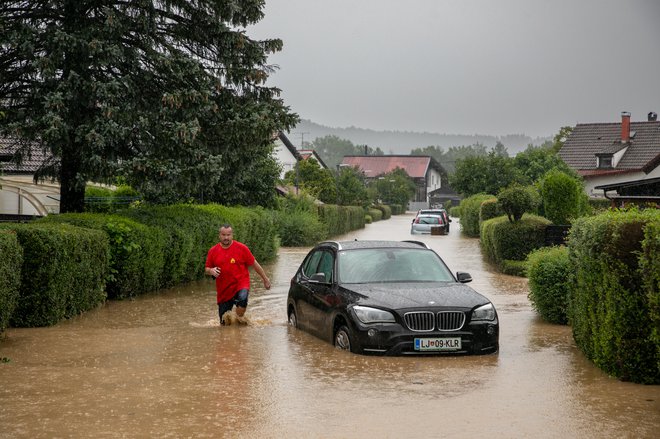 Sava je poplavila Sneberje in odnesla tudi bližnjo kolonijo breguljk. FOTO: Voranc Vogel