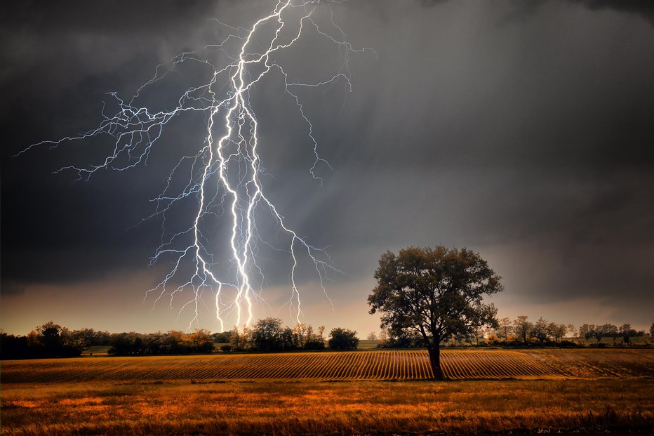 Fotografija: Simbolična fotografija FOTO: Balazskovacs Getty Images/istockphoto