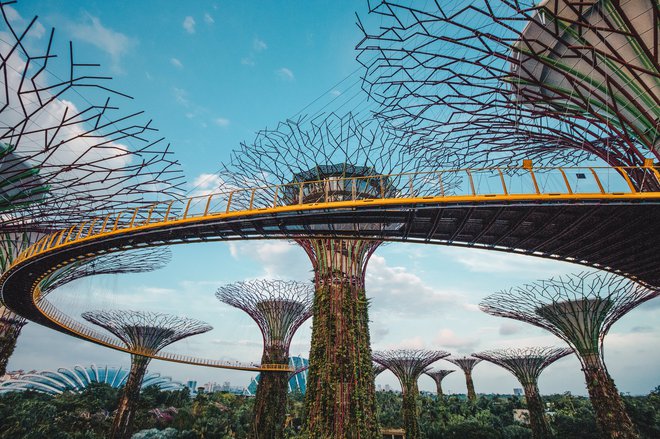 Znamenitost botaničnega vrta je 18 superdreves. FOTO: Gardens By The Bay