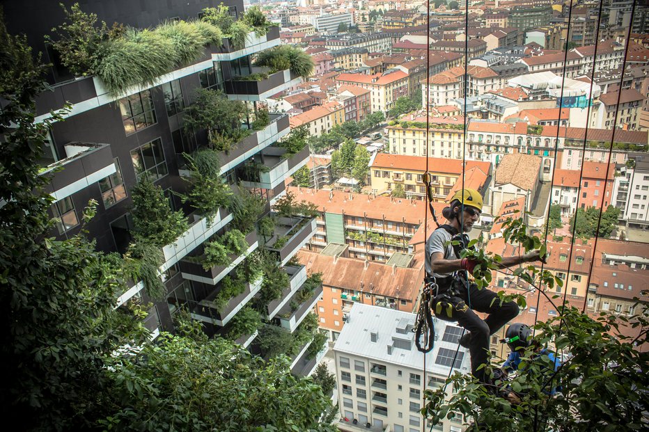 Fotografija: Za rastlinje skrbijo leteči ali bolje rečeno viseči vrtnarji. FOTO: arhiv Stefano Boeri Architetti