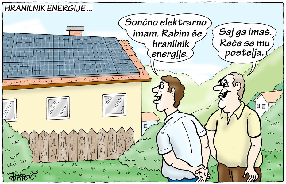 Fotografija: Hranilnik energije ... FOTO: Branko