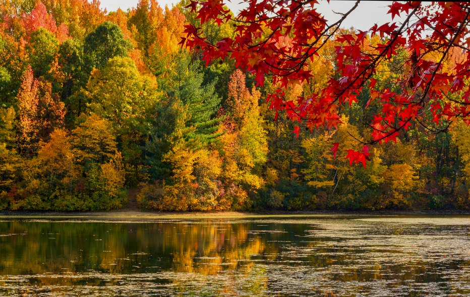 Fotografija: Fall foliage at Dallabach Lakes in East Brunswick, New Jersey. FOTO: Thomas Kloc Getty Images/istockphoto