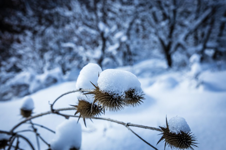 Fotografija: Fotografija je simbolična. FOTO: Shutterstock