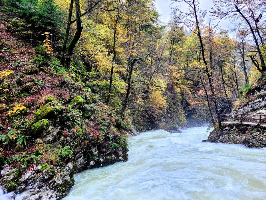 Fotografija: Sezone za obisk soteske Vintgar je konec, zdaj se pripravljajo na novo. FOTO: Tina Horvat