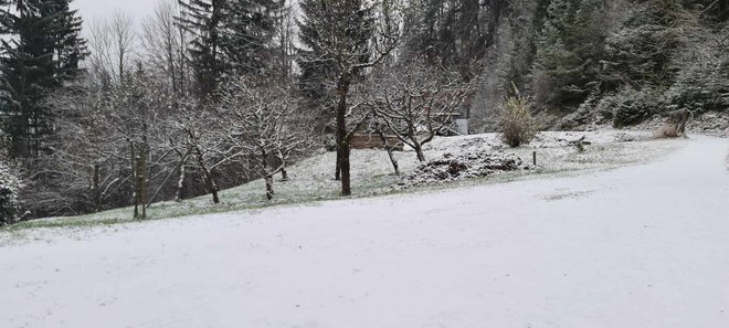 Snežna odeja je tanka, za zimske radosti je je premalo. FOTO: T. B.