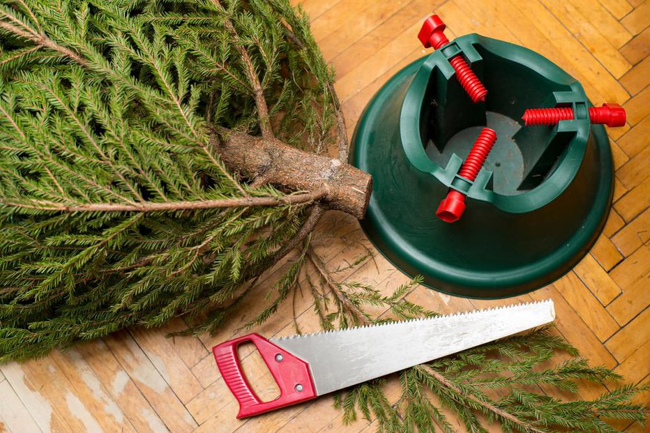 Fotografija: Danes z vami delimo nasvet, kako poskrbeti, da bo božično drevesce postavljeno v lepo stojalo, ki ga bomo tokrat izdelali sami. FOTO: Koldunov Alexey, Shutterstock