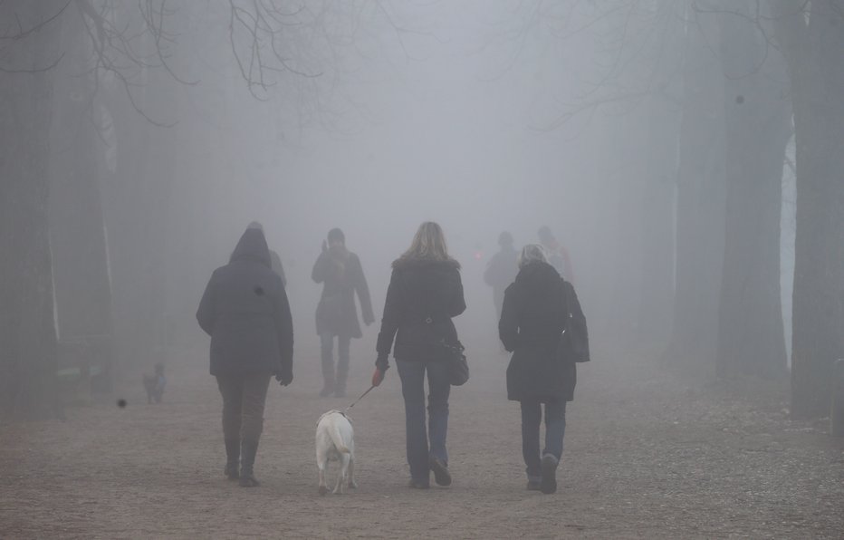 Fotografija:  FOTO: Jože Suhadolnik, Delo