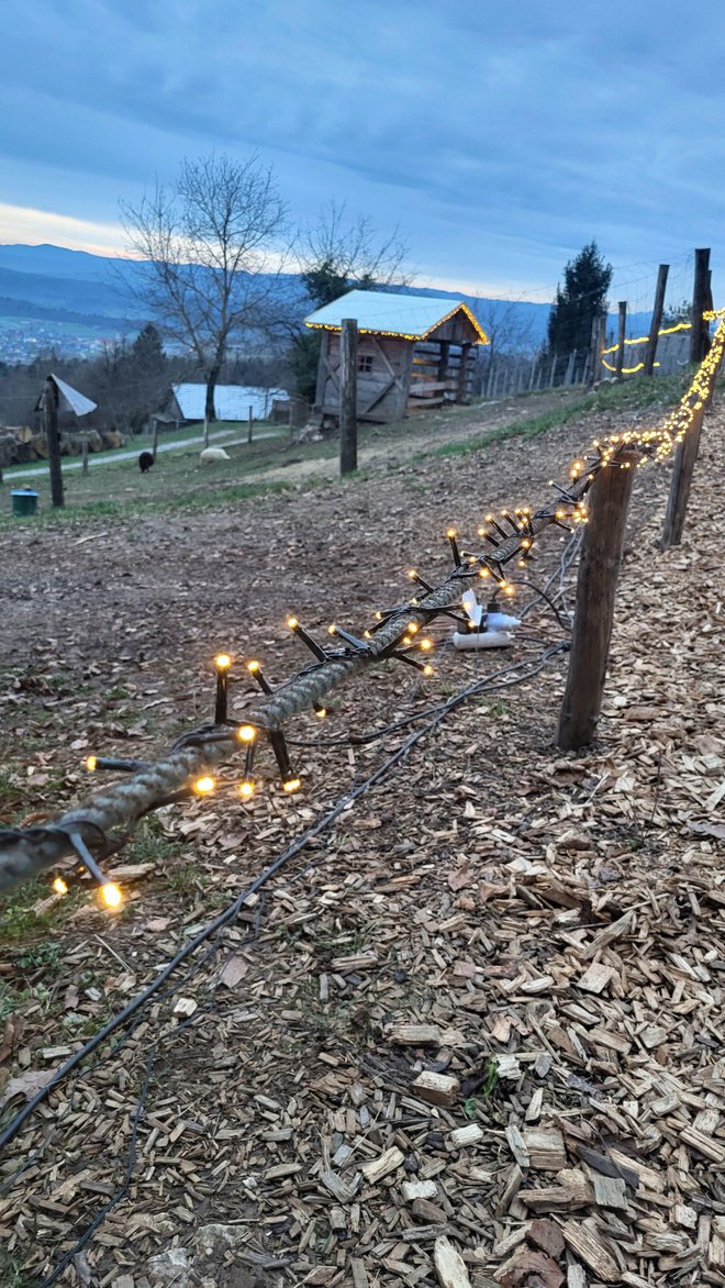 Lučk ne manjka. FOTO: Drago Perko