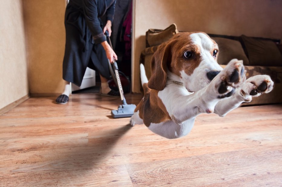 Fotografija: V pol ure sesanja porabimo 84 kalorij. Sesati bi morali še eno uro, da bi imeli enak učinek kot 25 minut vadbe. FOTO: Igor Normann, Shutterstock