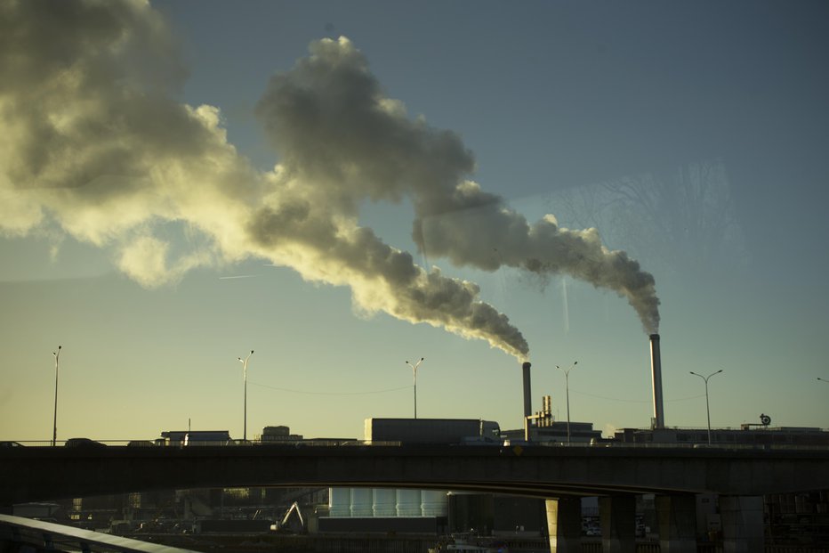 Fotografija: Brez absorpcije rastlin in oceanov bi bilo povečanje CO2 dvakrat večje. FOTO: Jure Eržen