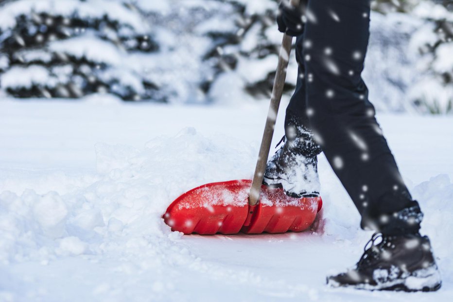 Fotografija: V teh dneh je marsikdo pri nas vzel v roke lopato. FOTO: Wdnet Getty Images/istockphoto