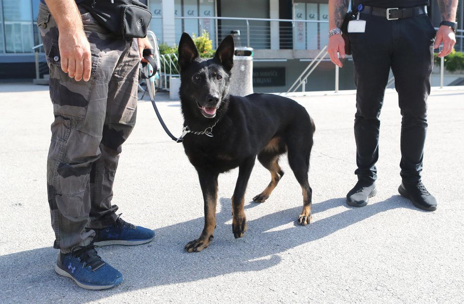 Fotografija: Sojenje v zadevi Kavaški klan v Sloveniji (arhivska fotografija). FOTO: Dejan Javornik