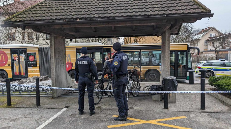 Fotografija: Drama na avtobusnem postajališču za Bežigradom. FOTO: A. L.