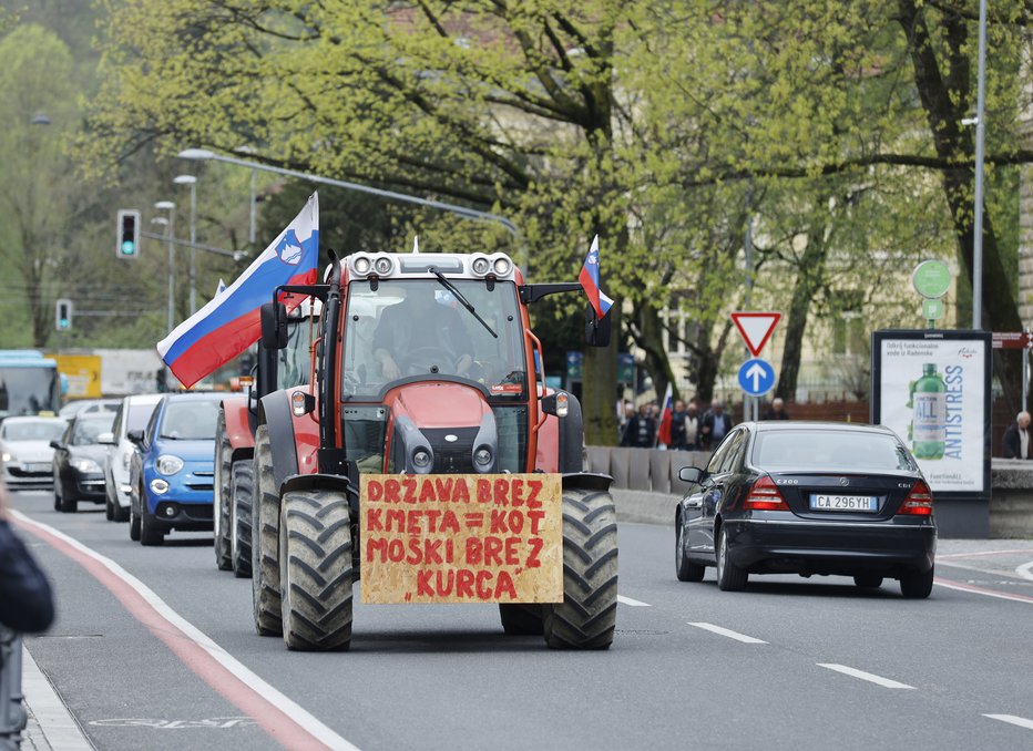 Fotografija: Tako so maja lani kmetje protestirali v Ljubljani. FOTO: Jože Suhadolnik