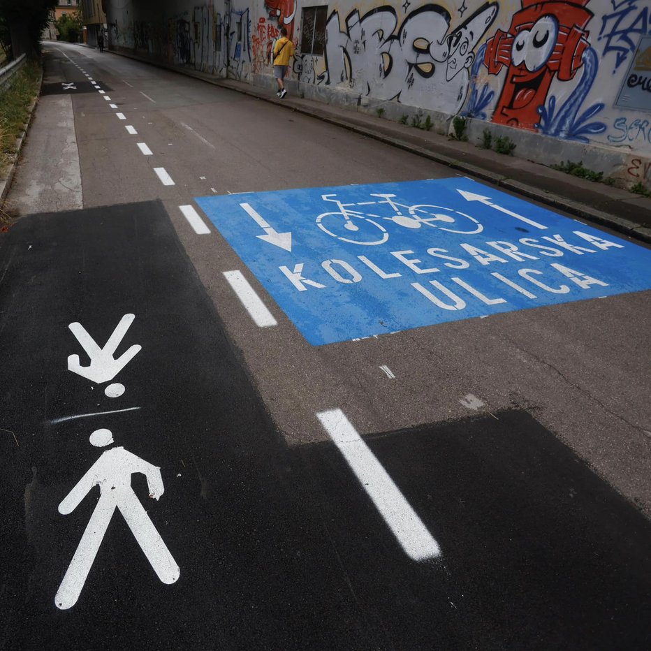 Fotografija: Kolesarska ulica FOTO: Mestna Občina Ljubljana