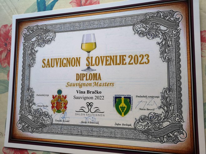 Z enim najboljših sauvignonov se hvali klet Vina Bračko.