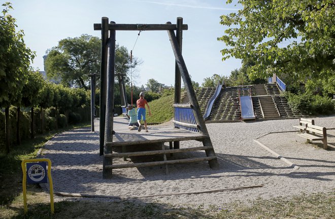 Klopi prežijo tudi na ljubljanskih otroških igriščih. FOTO: Blaž Samec